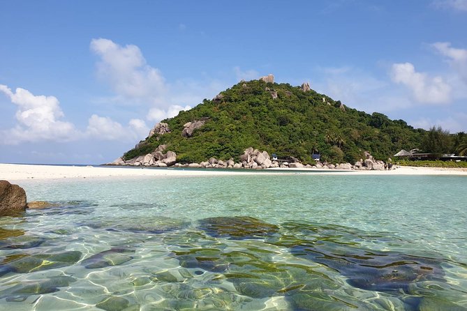 Koh Tao and Koh Nangyuan Premium Trip By Speedboat From Koh Samui - Customer Support Information