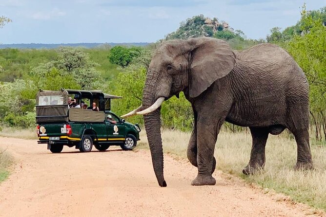 Kruger National Park Full Day Private Safari - Common questions