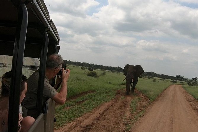 Kruger National Park Private Full-Day Safari - Private Safari Vehicle & Guide - Booking Details and Policies