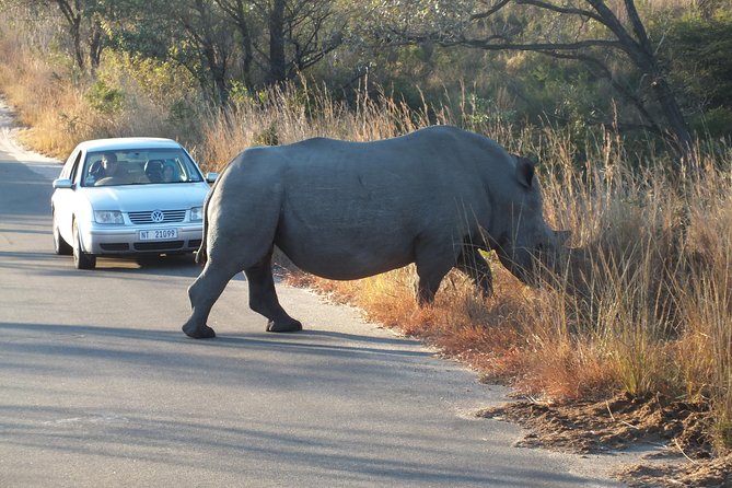 Kruger Park Safari: Guided Day Tour From Nelspruit - Additional Comments