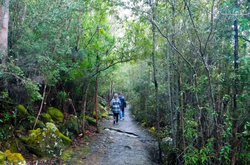 Kunanyi & Mt Wellington Explorer Bus: One-Way Bus Pass - Directions