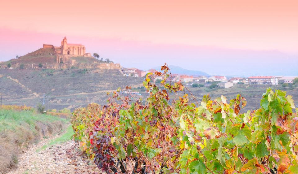 La Rioja Vineyards Private Tour From Bilbao (3 Vineyards) - Booking Information