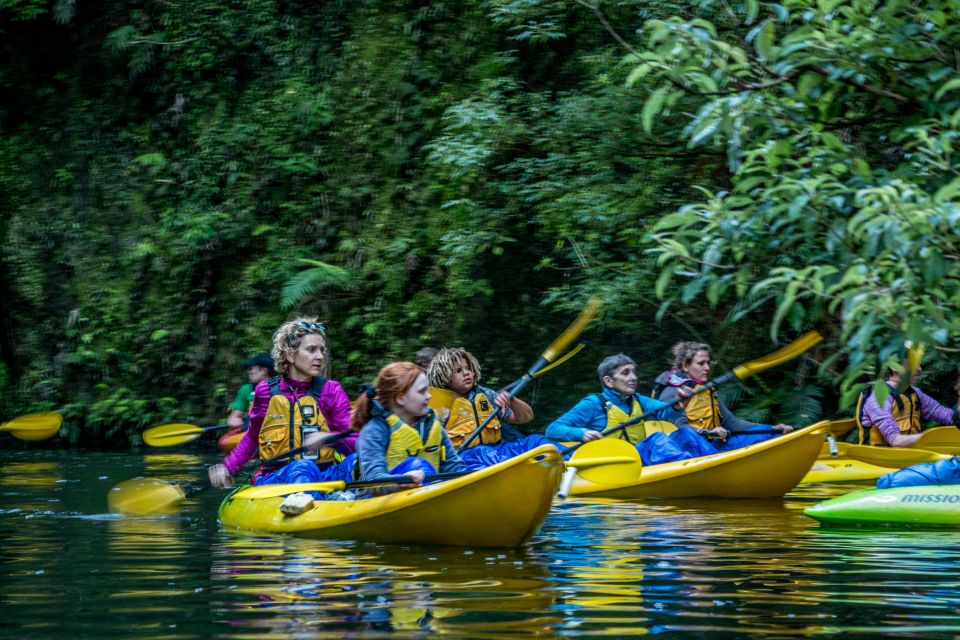 Lake Karapiro: Evening Kayak Glowworm Tour - Directions