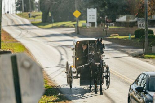 Lancaster: Amish Film, House, and Farmland Experience - Common questions