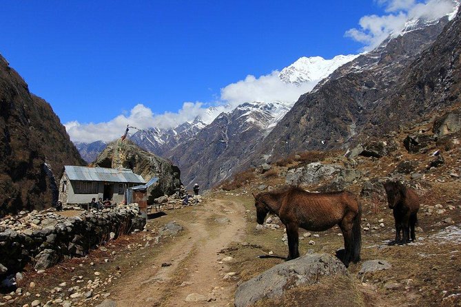 Langtang Gosaikunda Trek - 16 Days - Last Words