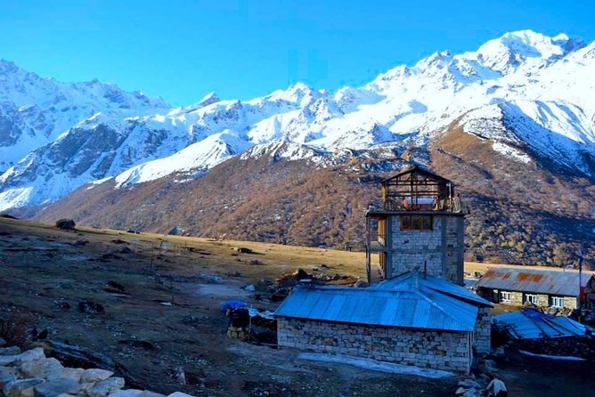 Langtang Valley Trek From Kathmandu - 8 Days - Questions and Assistance