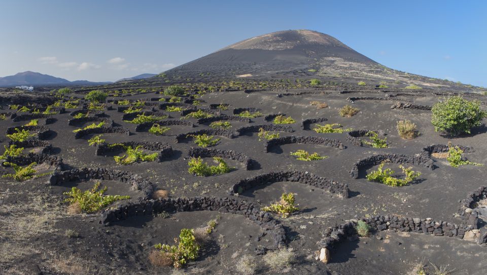 Lanzarote: Day Tour for Cruise Passengers - Itinerary Overview