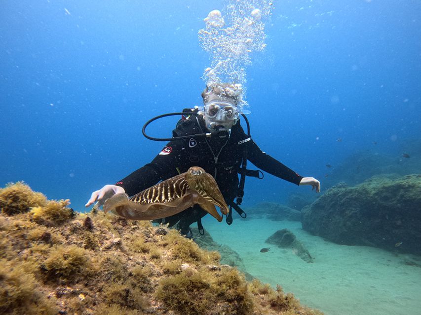 Lanzarote: Intro to Diving Experience for Beginners - Common questions