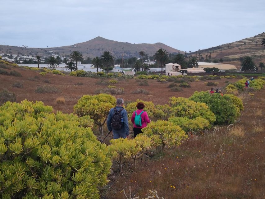 Lanzarote: Northern Cliffs & Valleys Walking Tour - Last Words