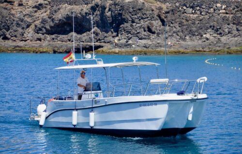 Lanzarote: Sea Safari Experience - Common questions