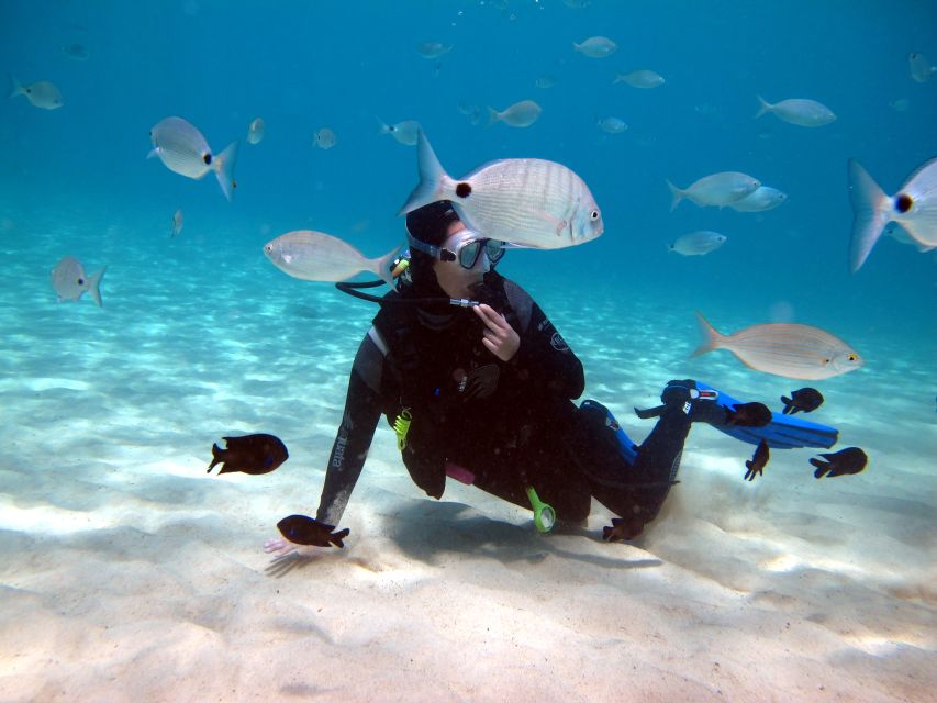 Lanzarote: Small Group Beginner Dive Course Costa Teguise - Common questions