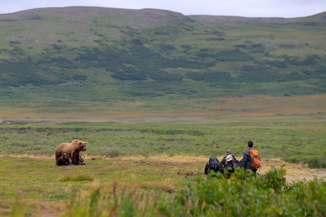 Late Summer Bear Viewing in Katmai National Park - Common questions