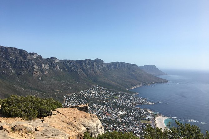 Lions Head Hike - Private Tour - Traveler Reviews