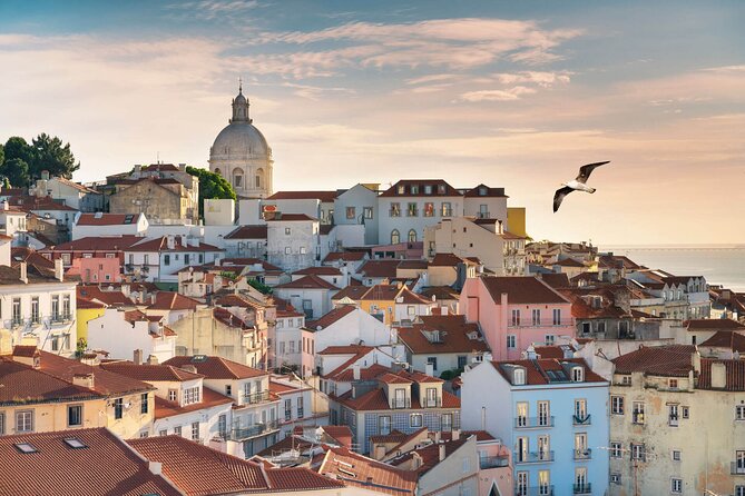 Lisbon Half Day Private Tour - Historical Insights