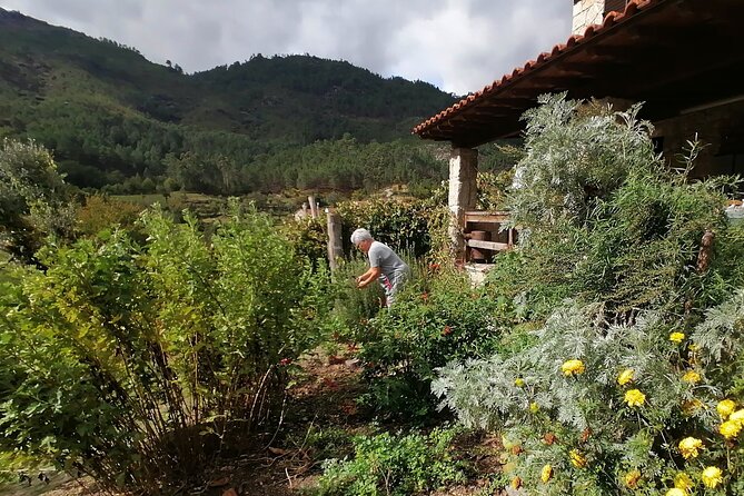 Live Like a Local - 3-Day Experience in Gerês Mountain With Local Food Tasting - Common questions