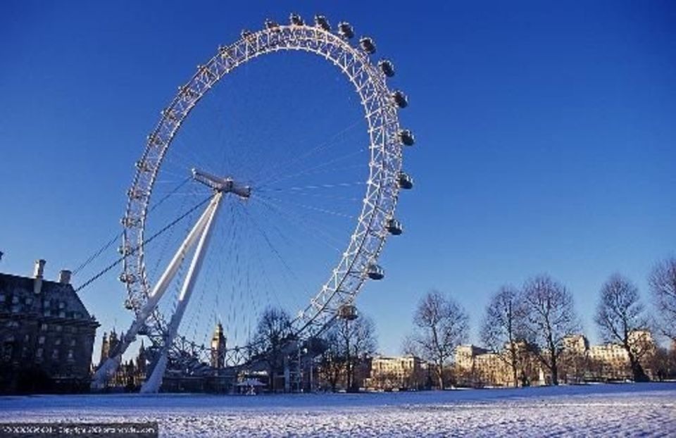 London: Sights and Sounds of Christmas Guided Half-Day Tour - Common questions