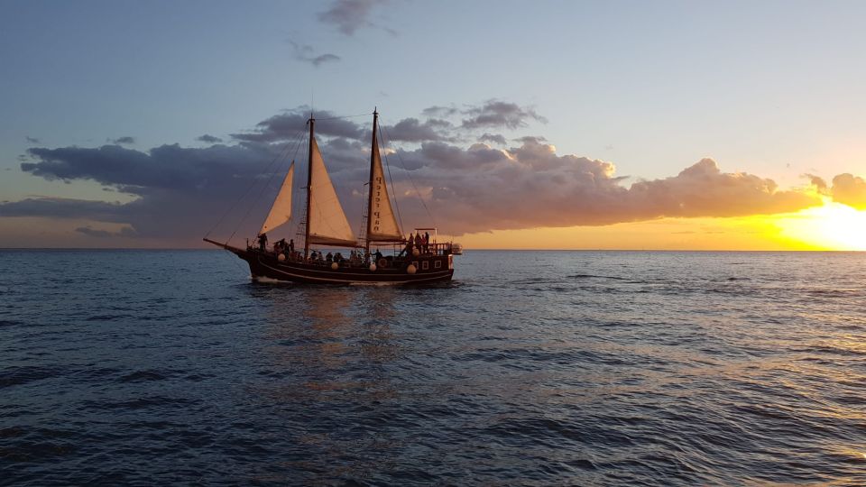 Los Cristianos: Whale-Watching Sailboat Tour and Soft Drinks - Excursion Dock in Zone A