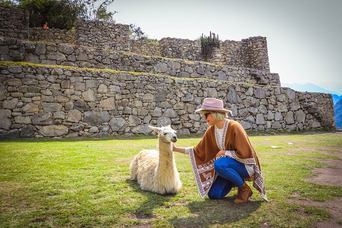 Machu Picchu Private Day Trip With All Tickets - Last Words