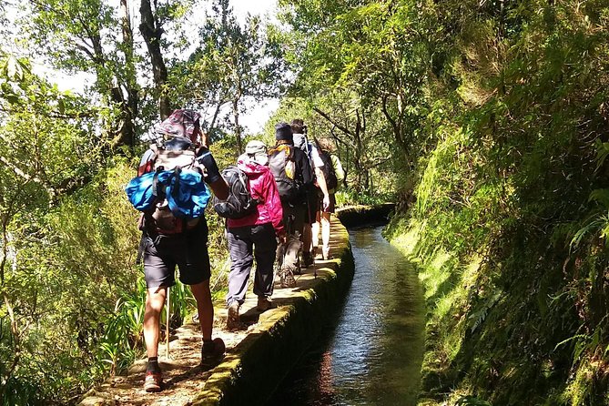 Madeira: Private Guided Levada Walking Tour  - Funchal - Accessibility Information