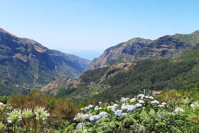 Madeira: Private Laurisilva Tour - Common questions