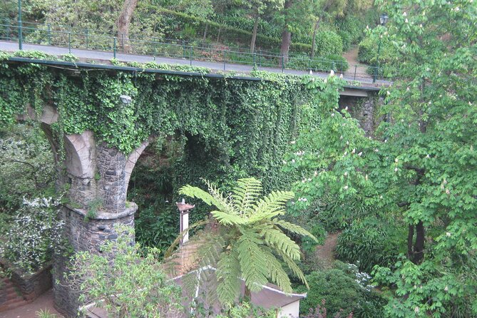 Madeira: Private Monte Tour by Cable Car With Transfer - Weather-Related Considerations