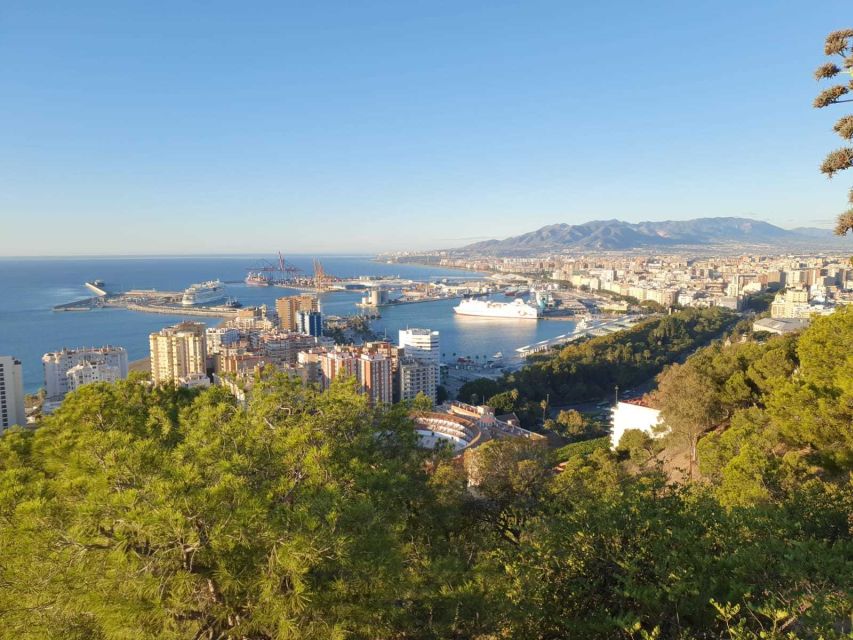 Malaga: 2-Hour Guided City Highlights Tour by Electric Bike - Common questions