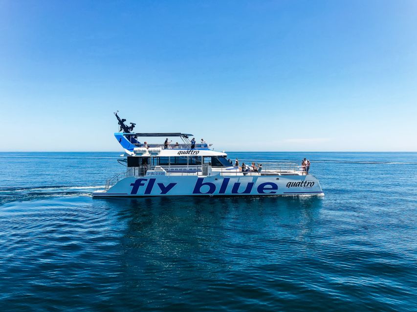 Malaga: Catamaran Cruise With Optional Swimming Stop - Background Information