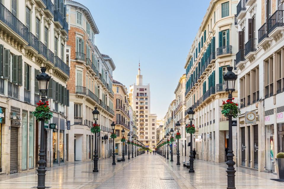 Malaga: Private City Tour With Theater and Cathedral Tickets - Common questions