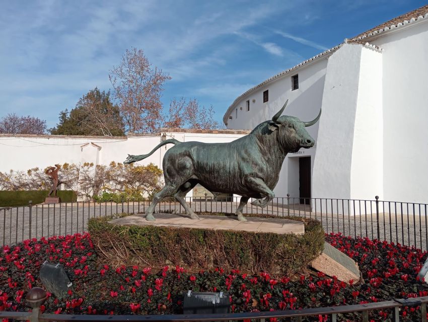 Malaga: Ronda & Setenil De Las Bodegas Trip - Booking Information