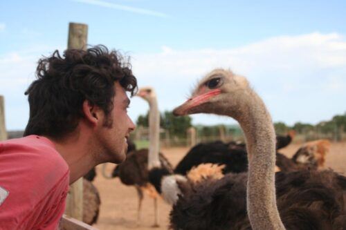 Mallorca: Artestruz - Ostrich Farm Ticket Entrance - Common questions