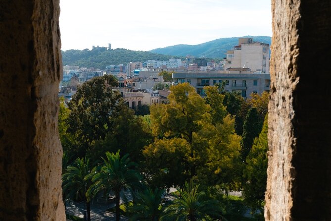 Mallorca Hidden Gems by City Break - Walking Tours Made Fun! - Meet Local Artisans and Creators