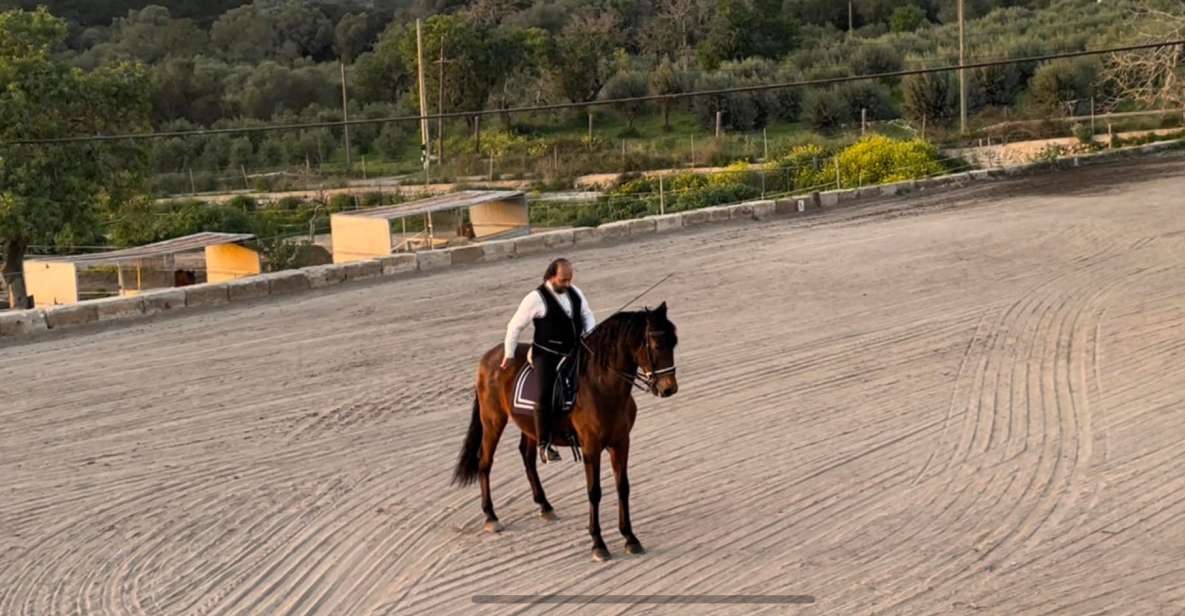 Mallorca: Mallorcas Sunset & Spanish Riding School Show - Common questions