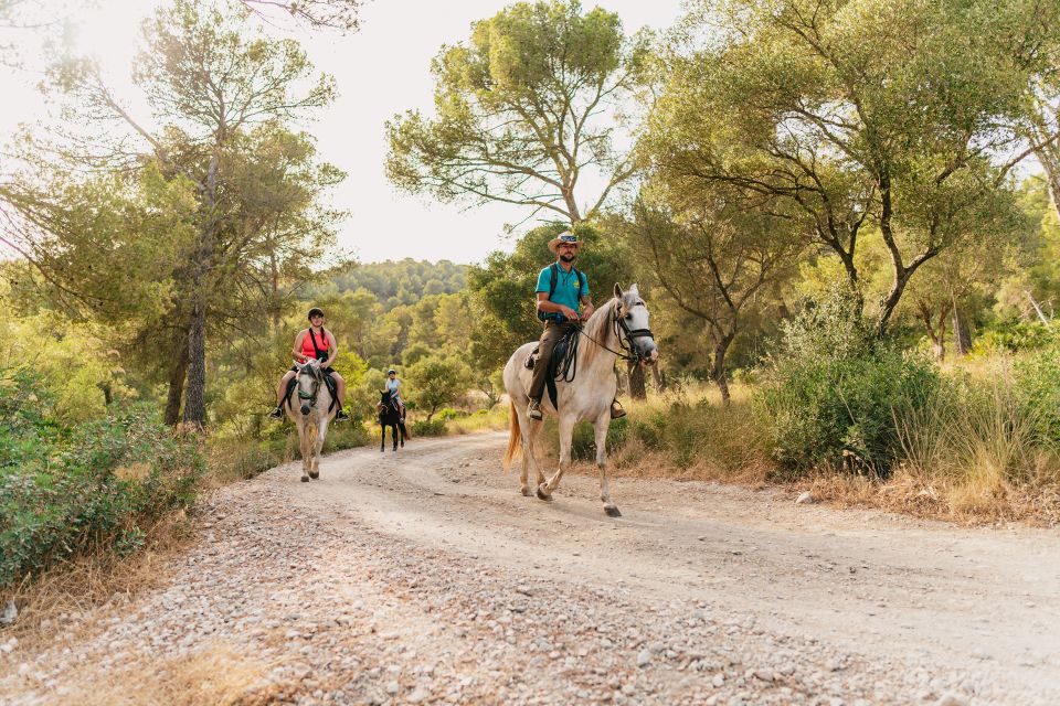 Mallorca: Mountain Horse Riding Experience W/ Brunch Option - Directions