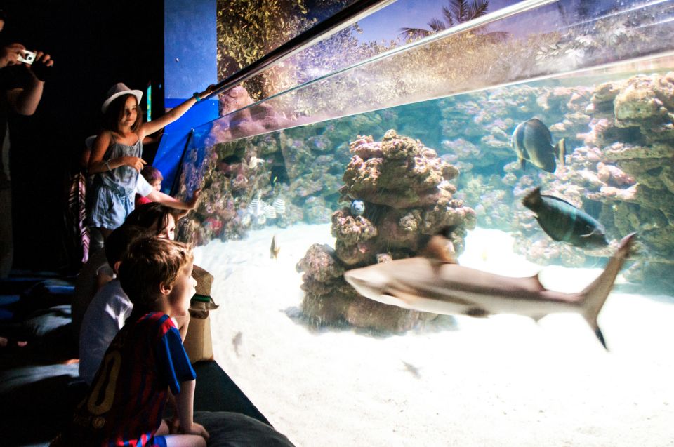 Mallorca: Palma Aquarium Entry Ticket W/ Optional 3D Cinema - Common questions