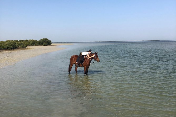 Mangroves Ride - Last Words