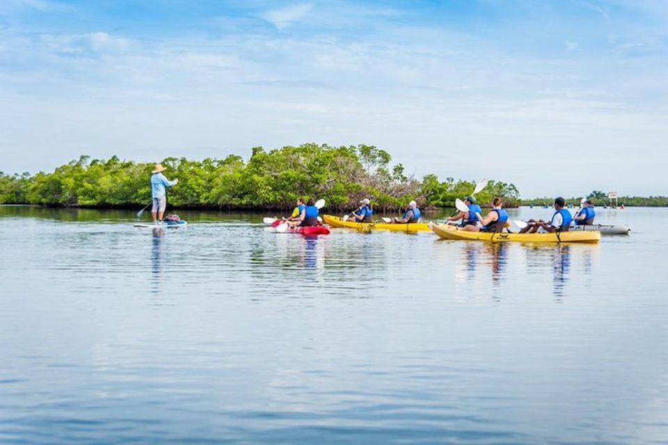 Marco Island: Kayak Mangrove Ecotour in Rookery Bay Reserve - What to Bring