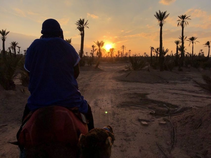 Marrakech Palmeraie: Sunset Camel Ride - Pickup Inclusions