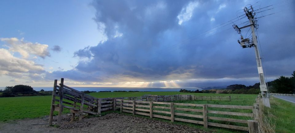 Martinborough Winery and South Wairarapa Wild Coast Tour - Common questions