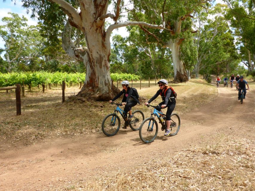 Mclaren Vale Hills Vines and Wines Bike Tour From Adelaide - Additional Information