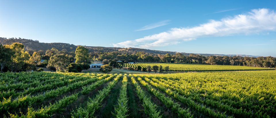 McLaren Vale: Private Gemtree Wines Biodynamic Winery Tour - Inclusions Provided