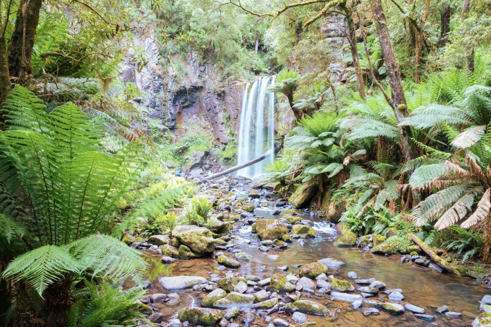 Melbourne: 12 Apostles, Great Otways and Great Ocean Road - Important Information