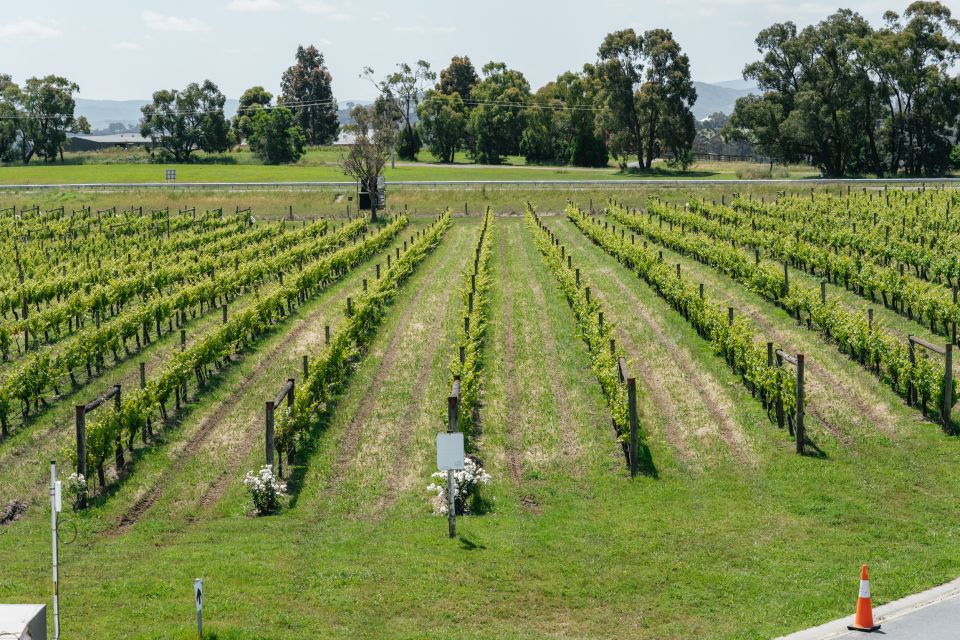 Melbourne: Full-Day Yarra Valley Wine Experience With Lunch - Directions
