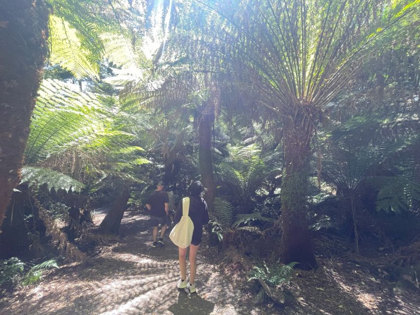 Melbourne: Great Ocean Road Day Trip With Rainforest Visit - Rain or Shine Operations