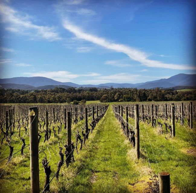 Melbourne: Yarra Valley, Chandon, Cheese and Kangaroos Tour - Common questions