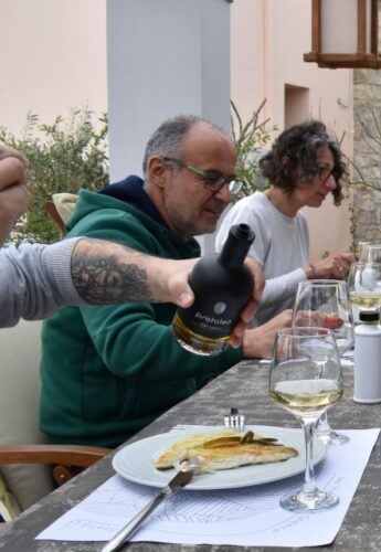 Messenia: Olive Oil Experience-Full Tour,Food Pairing,Dinner - Experience Description