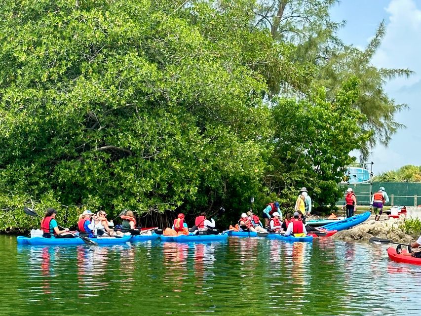 Miami: Paddle Board or Kayak Rental in Virginia Key - Lamar Lake Tranquility