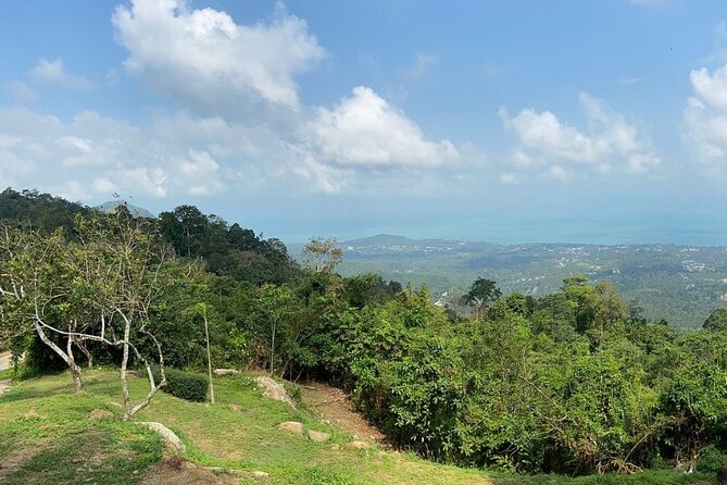 Mini ATV Safari 1 Hours Jungle Adventure Tour on Koh Samui - Traveler Requirements