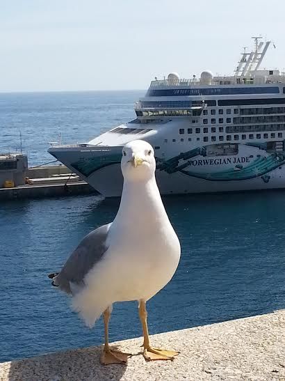 Monaco Day and Night - Directions