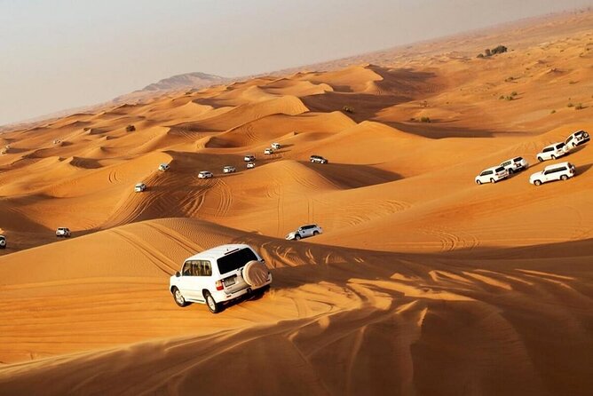 Morning Desert Safari With Dubai City Tour & Evening Dhow Cruise - Contact Viator for Reservations