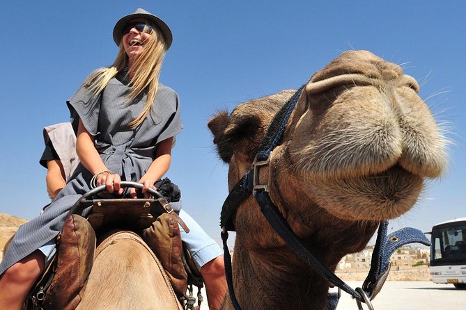 Morning Dubai Quad Bike With Sand Boarding and Camel Ride - Health and Safety Guidelines
